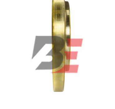 Brass IS 319 Lap Joint Flange