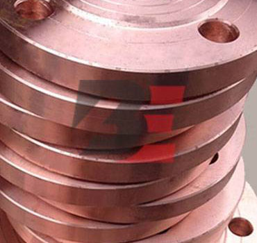Copper Nickel 70/30 Forged Flange