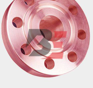 Copper Nickel 70/30 Ring Type Joint Flange